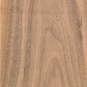 European Walnut