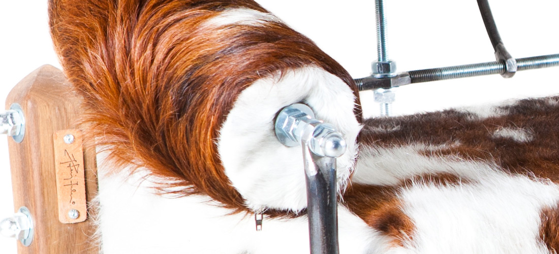 double_pirmin_detail